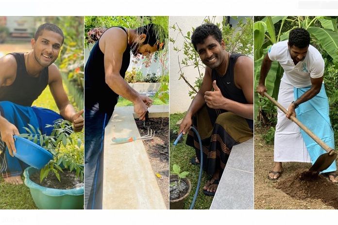 Sri Lanka Cricketer,Home Gardening Challenge,COVID-19,Sri Lanka Cricket,Angelo Mathews
