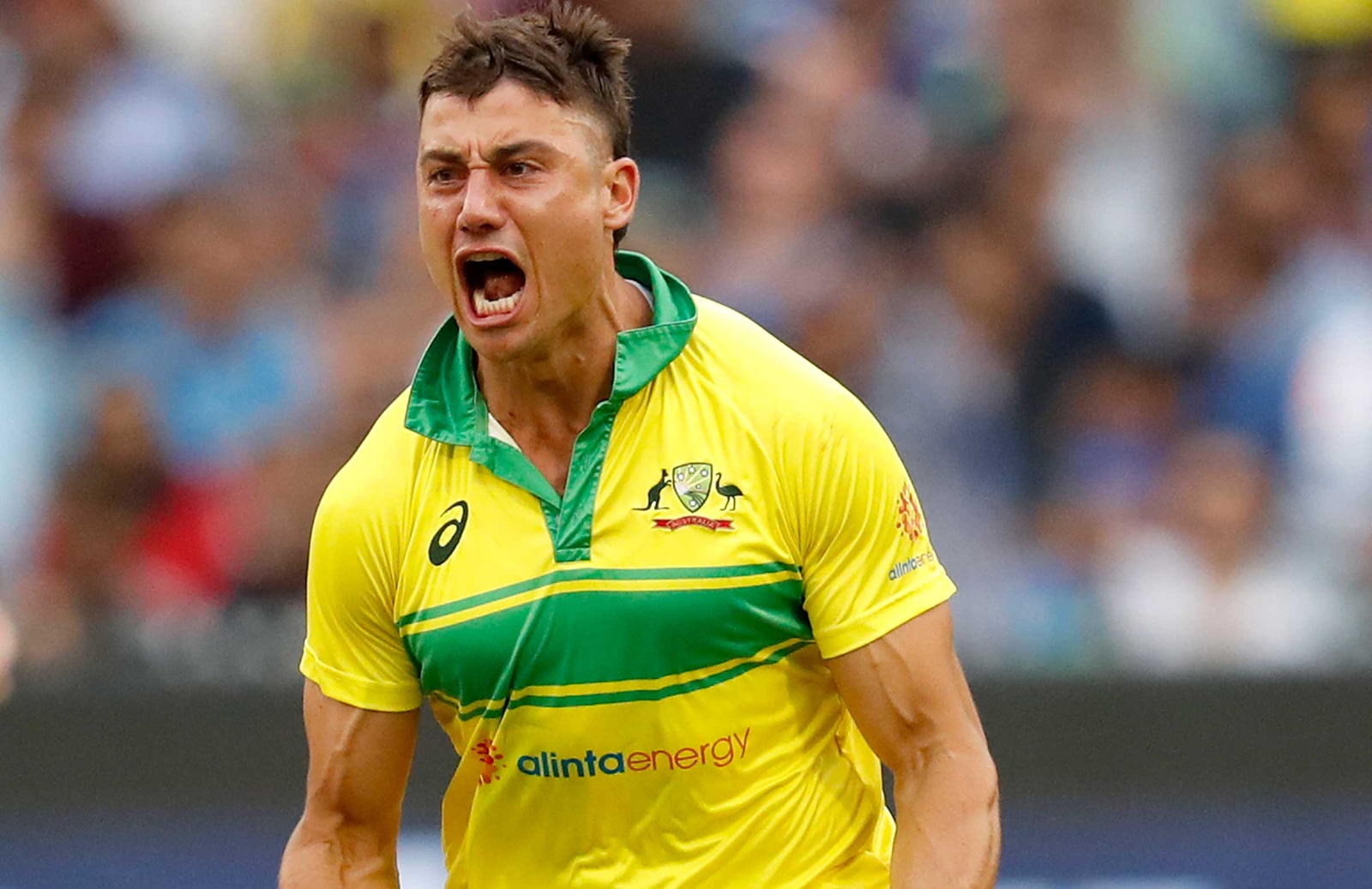 You searched for Marcus Stoinis • InsideSport