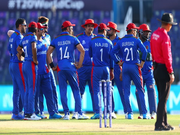 BAN vs AFG: Noor Malikzai named Afghanistan Cricket Board chief selector