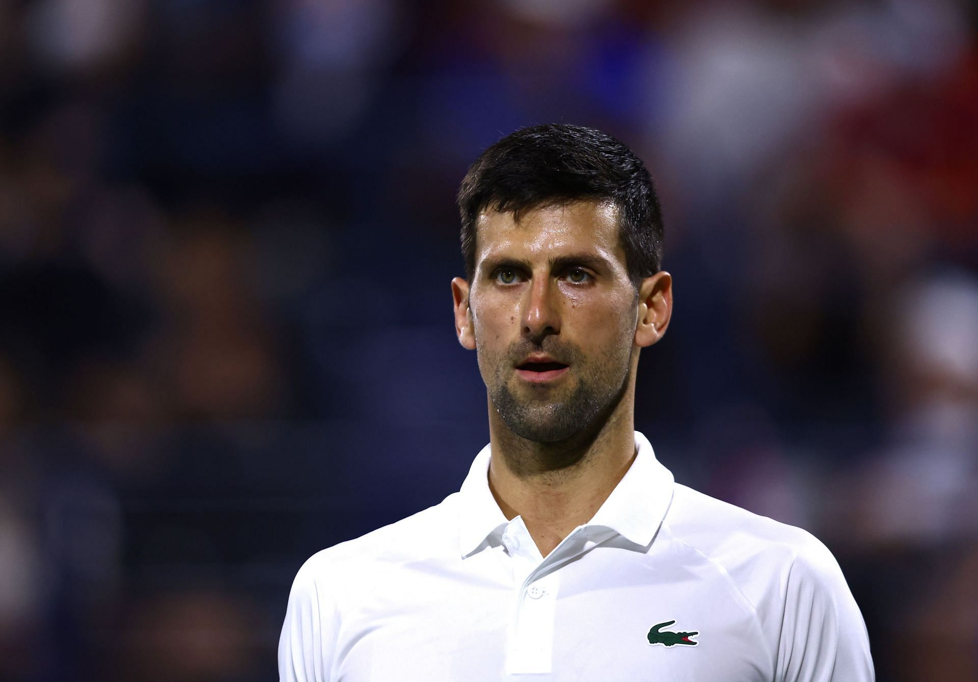 Novak Djokovic Stunned: Vesley 'SHOCKS' Djokovic in Dubai Tennis Quarterfinals, Serb loses World No. 1 Rank to Medvedev