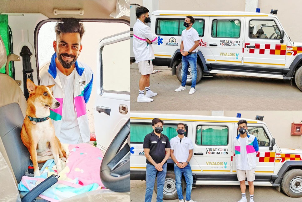 Virat Kohli 100th Test: Kohli launches ambulance for stray dogs