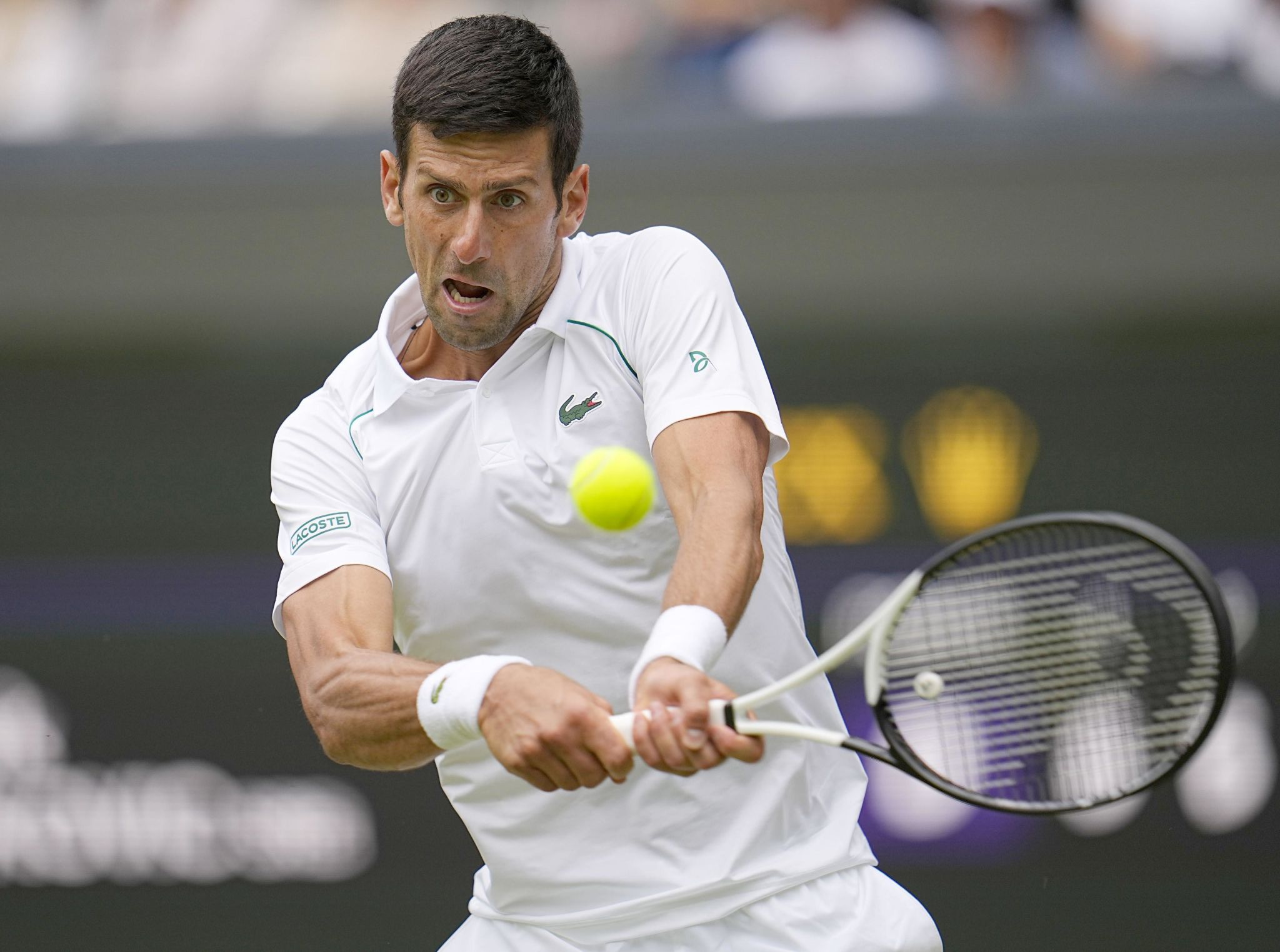 Djokovic vs Rijthoven LIVE: Novak Djokovic in 5th straight quarterfinals, brushes aside Tim van Rijthoven in four-set battle: Wimbledon 2022 LIVE