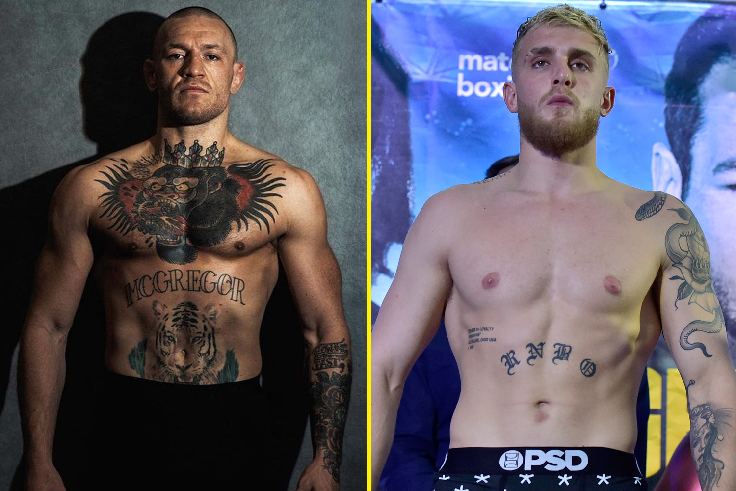 Conor McGregor: UFC Jake Paul shatters McGregor on Twitter with his heated reply for insulting him