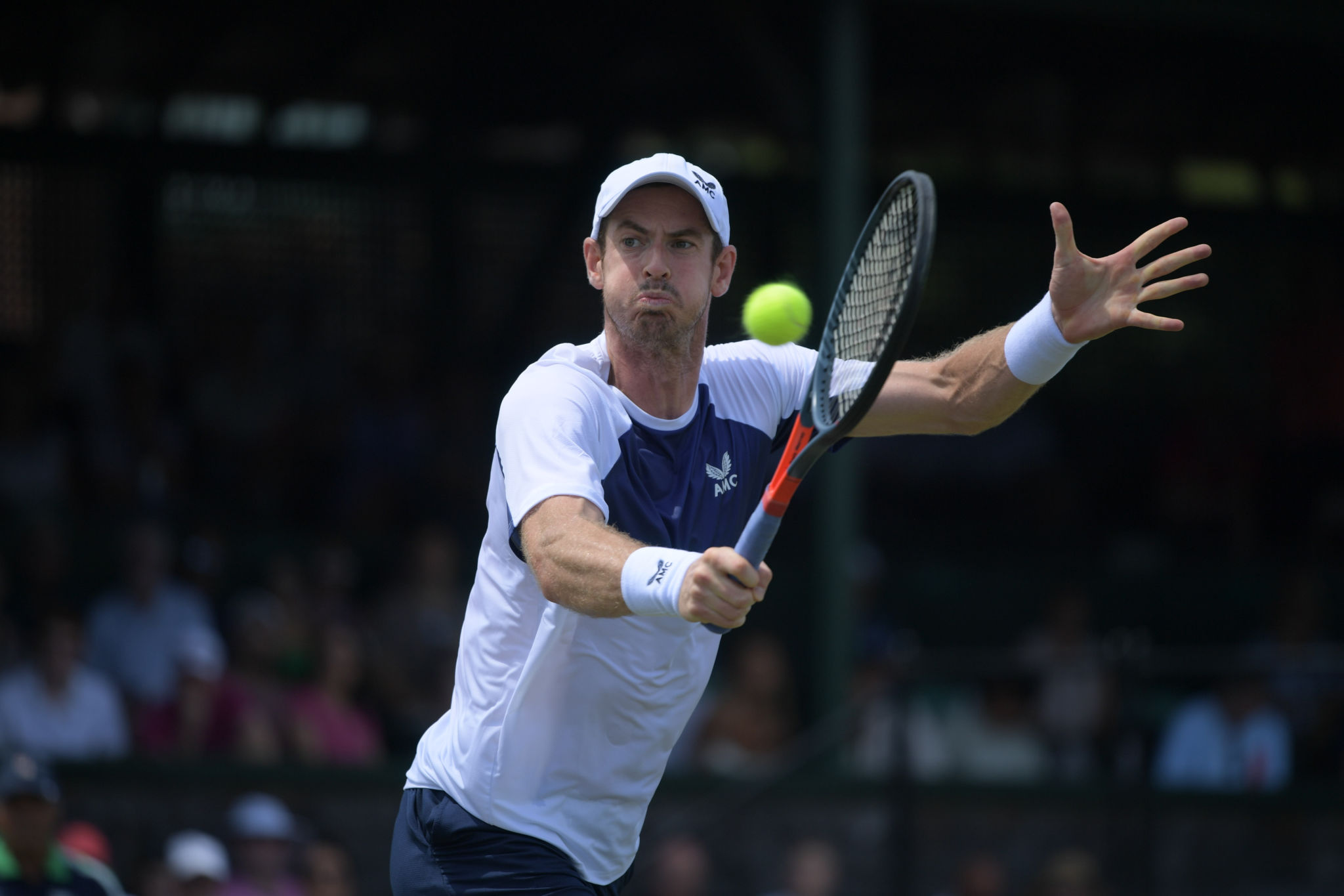 Hall of Fame Open LIVE Murray crashes out after loss to Bublik Check Highlights