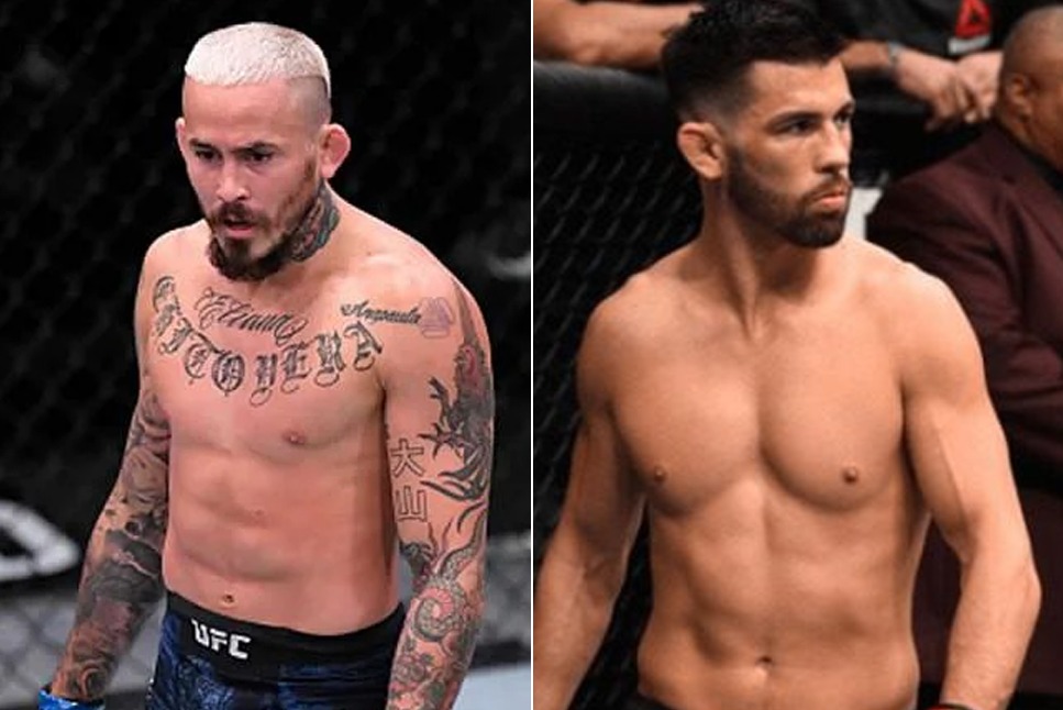 UFC San Diego Live Timings: Check out all details of upcoming UFC Fight Night event Marlon Vera vs Dominick Cruz Live from San Diego, Follow UFC San Diego India Timings and Date