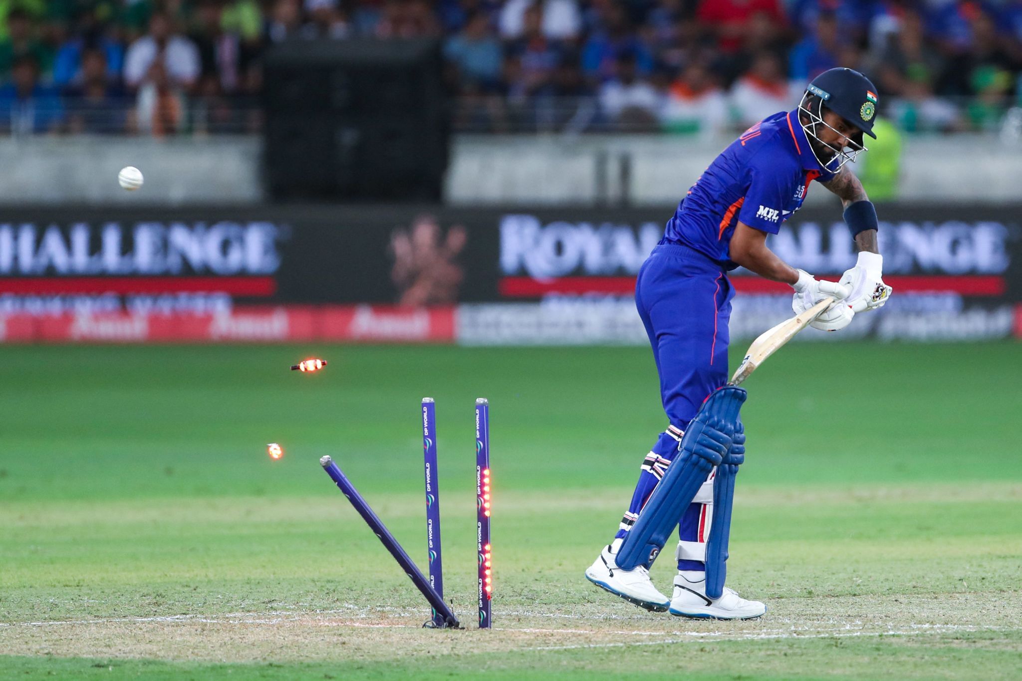 India Playing XI vs HK: Rishabh Pant likely to COME BACK, who will Rohit Sharma DROP against Hong Kong? India vs Hong Kong LIVE, Asia Cup 2022 Live Updates