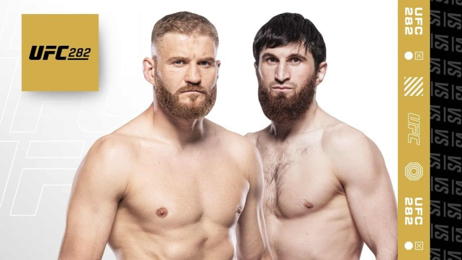 UFC 282: Blachowicz vs Ankalaev: Where to watch UFC 282 live? 