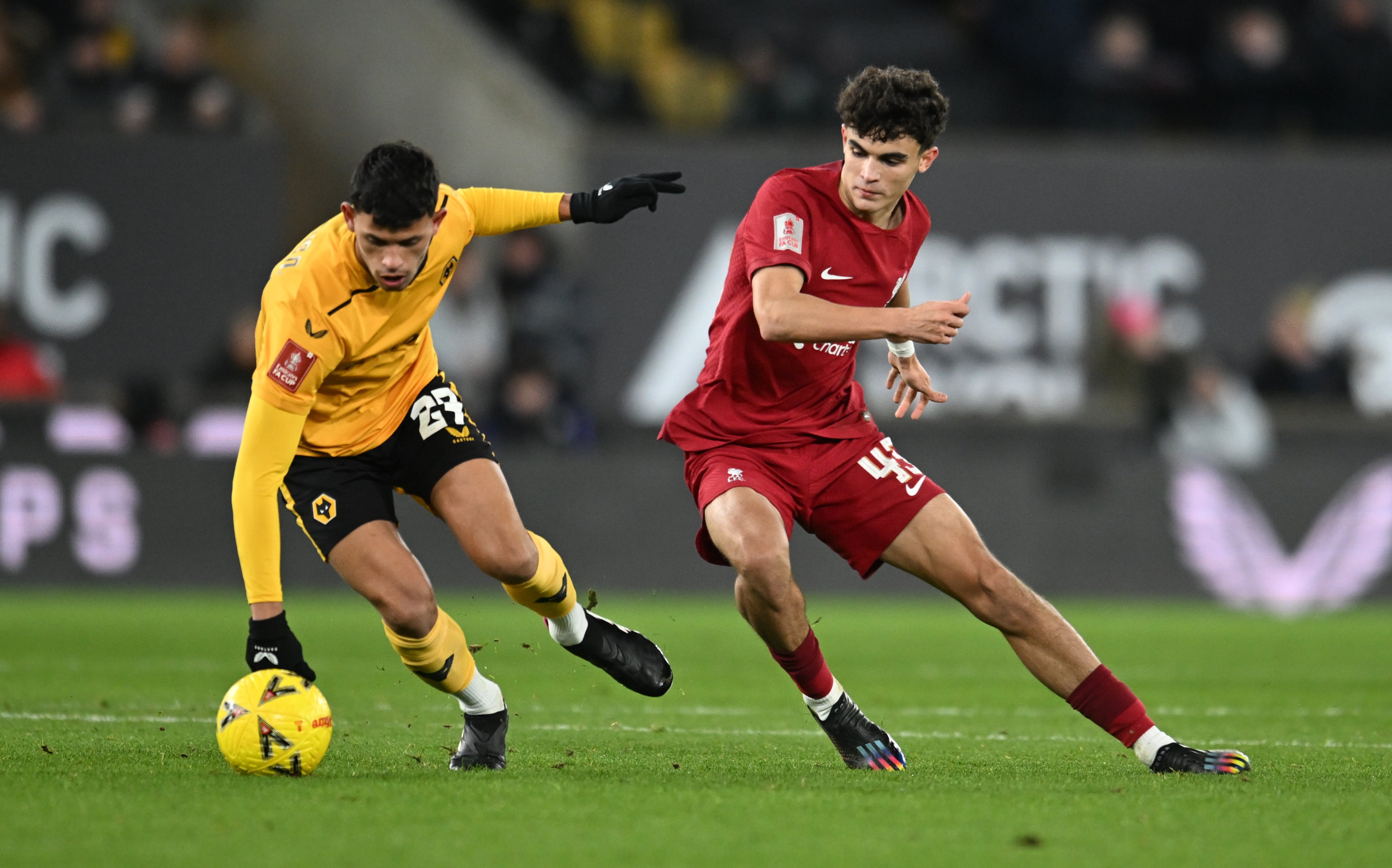 Wolves vs Liverpool Highlights, FA CupHighlights, WOL vs LIV Highlights, Liverpool, Wolverhampton, Wolves vs Liverpool, FA Cup Fourth Round, Harvey Elliot