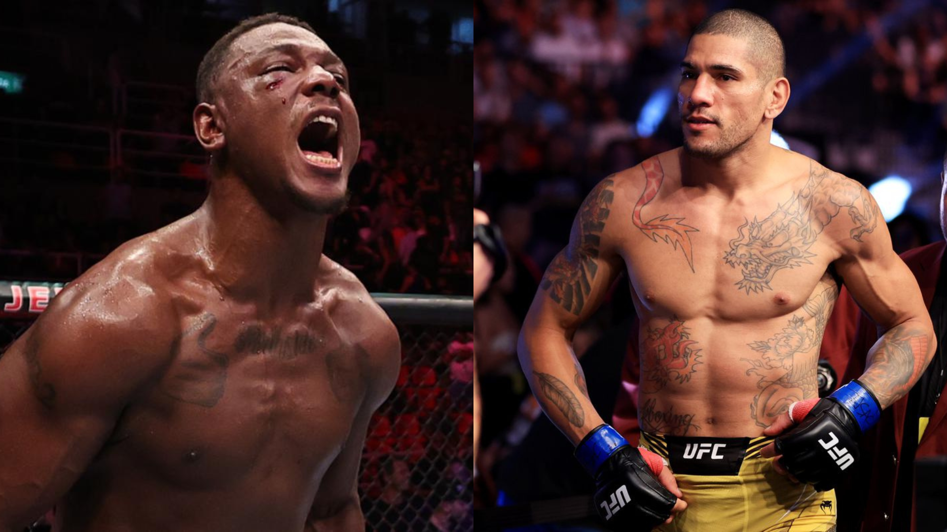 Jamahal ready to fight Alex Pereira: ‘I am not scared of nobody’- UFC light heavyweight champion responds to UFC middleweight champion