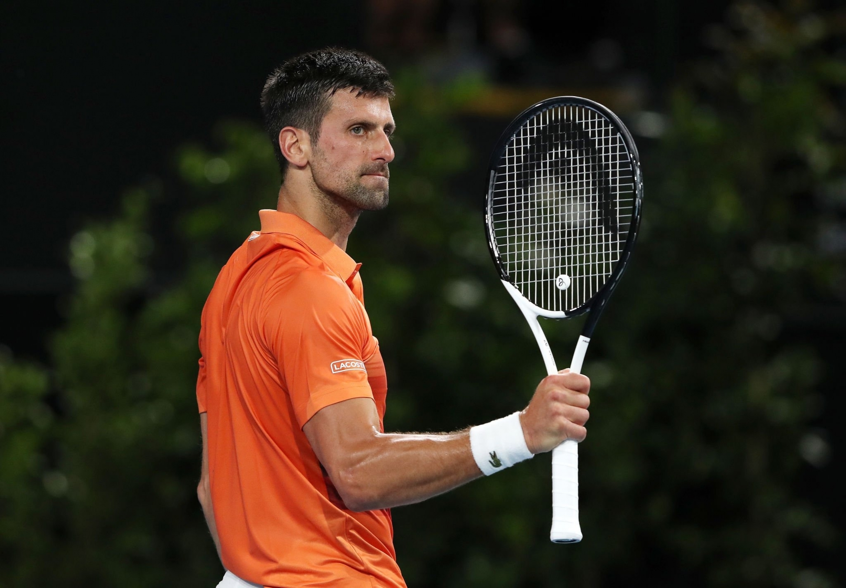 Djokovic vs Medvedev Highlights: Novak Djokovic enters Adelaide International final, defeats Daniil Medvedev in straight sets - Watch Highlights