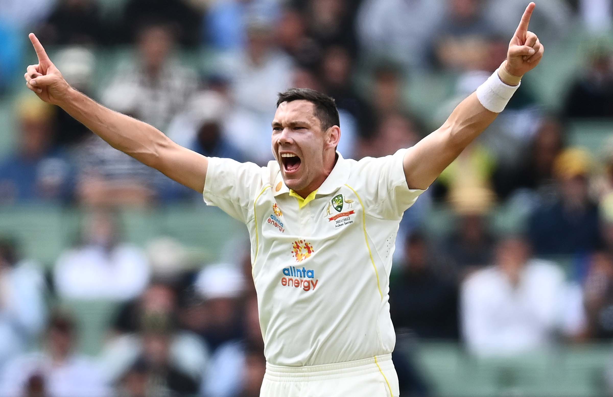 IND vs AUS LIVE: BIG Blow to Aussies, Injured pacer Josh Hazlewood likely to miss 2nd Test also, Scott Boland to make overseas DEBUT, Follow India vs Australia