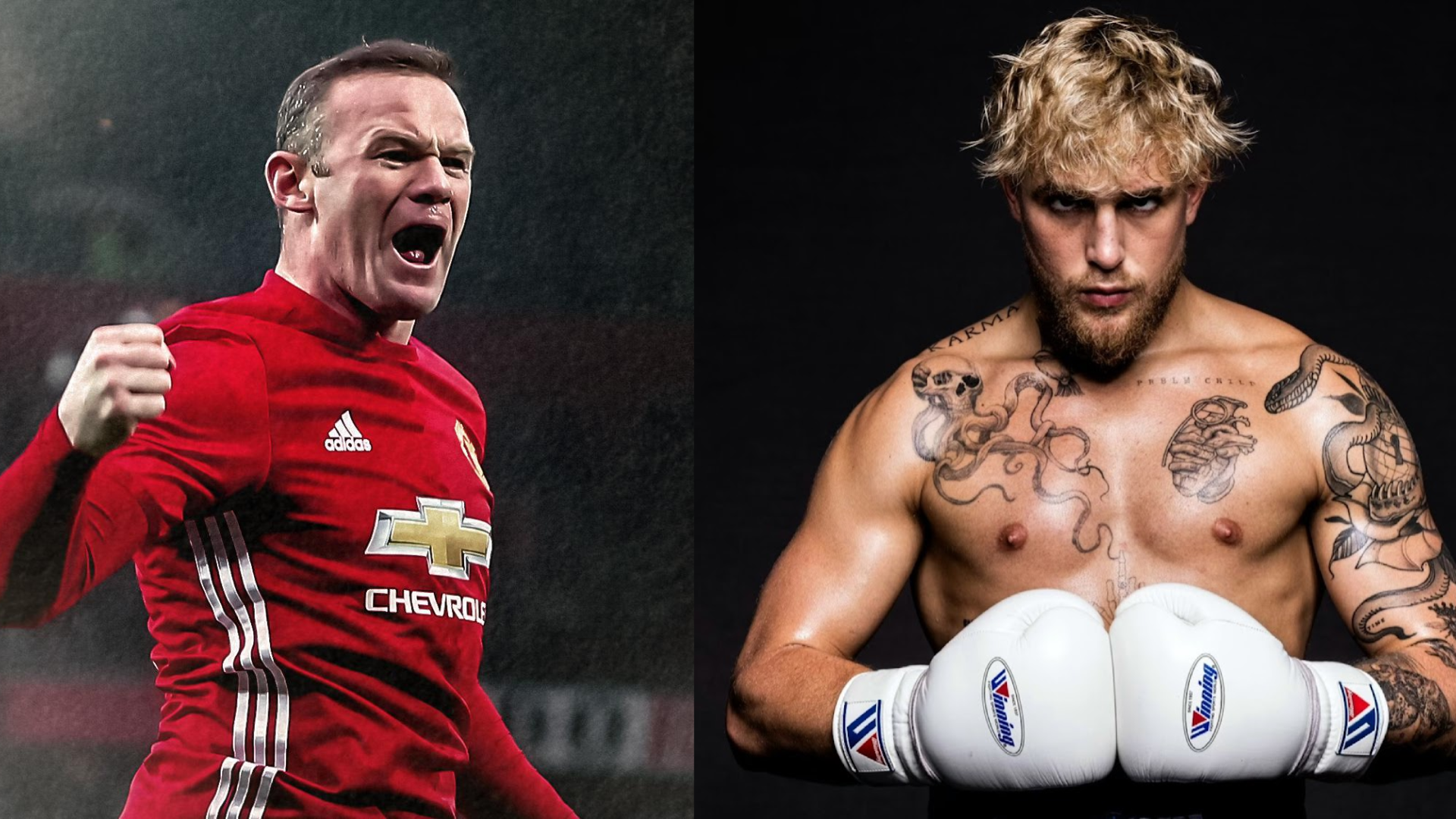 Jake Paul vs Wayne Rooney: Boxing promoter validates Manchester United legend's in-ring debut- 'Him [Wayne Rooney] vs Jake Paul at Old Trafford'