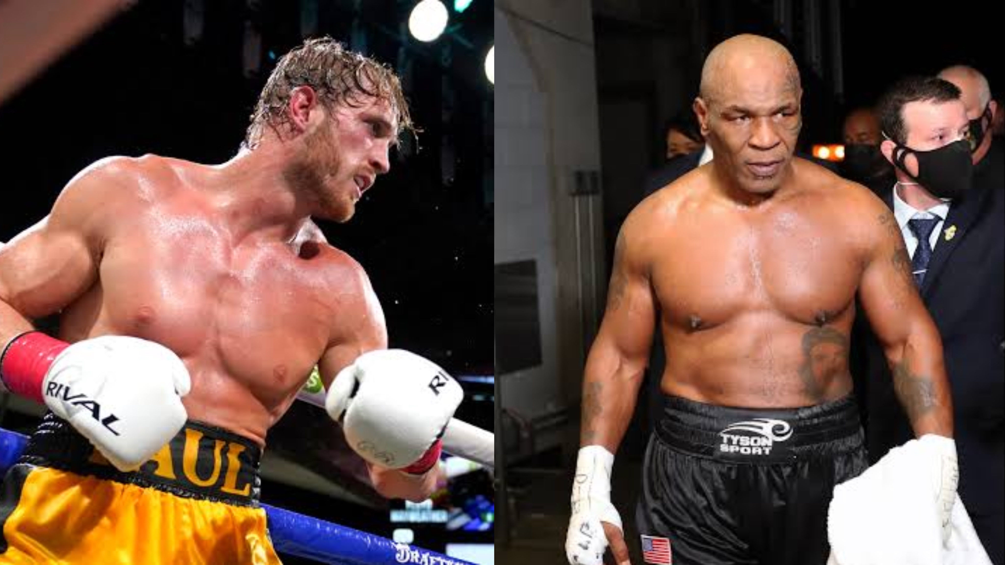 'Mike Tyson Fu *** Mồm lên'- Ngôi sao WWE Logan Paul cập nhật về huyền thoại quyền anh có khả năng chiến đấu với Tyson