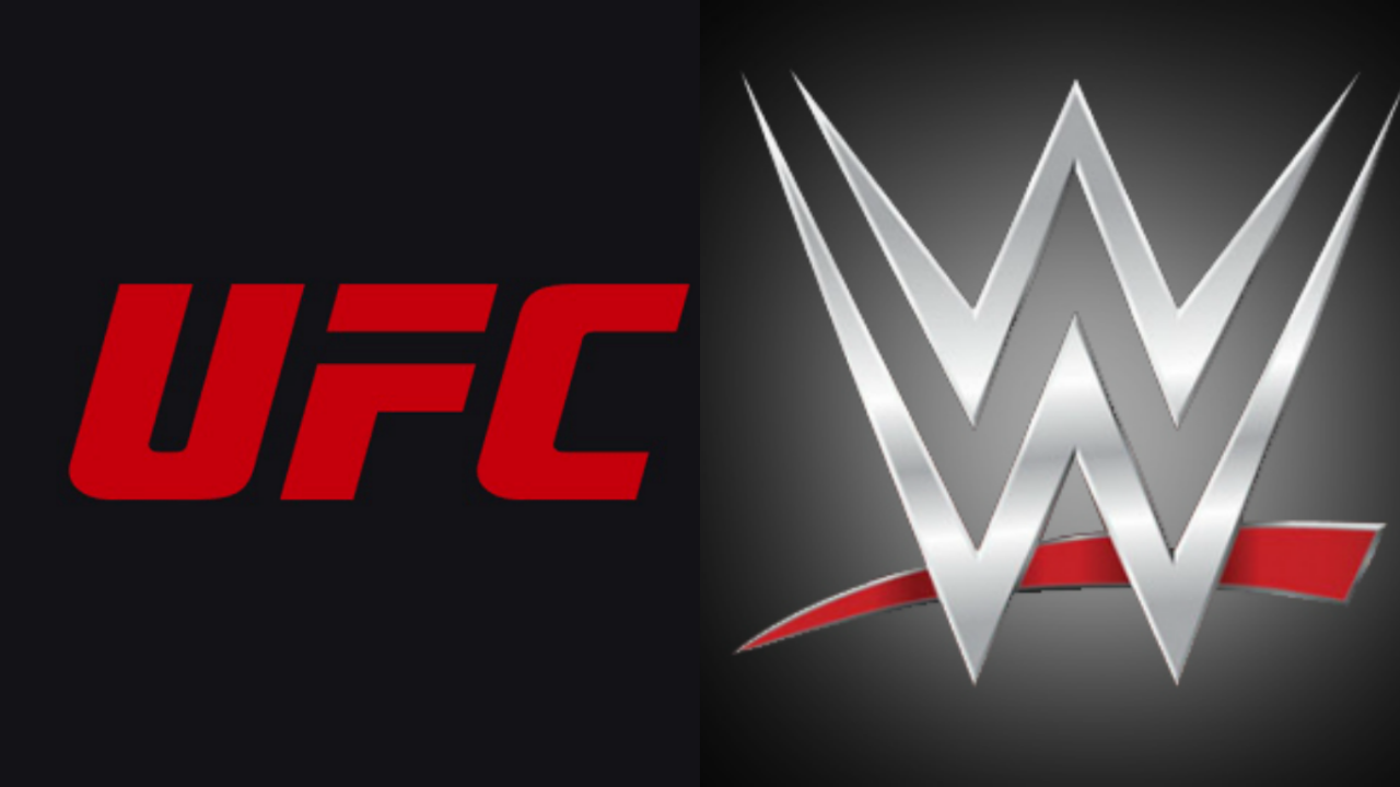 UFC vs WWE: Are UFC Fights More Dangerous Than Risky WWE Performances?