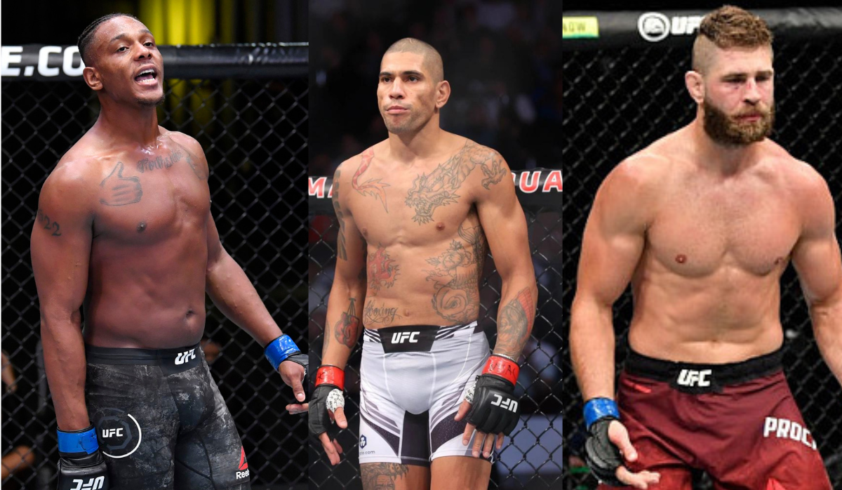 MMA Fans React to Alex Pereira Claiming Jamahal Hill A Better Opponent Than Jiri Prochazka- 'Pereira Would Starch Hill'