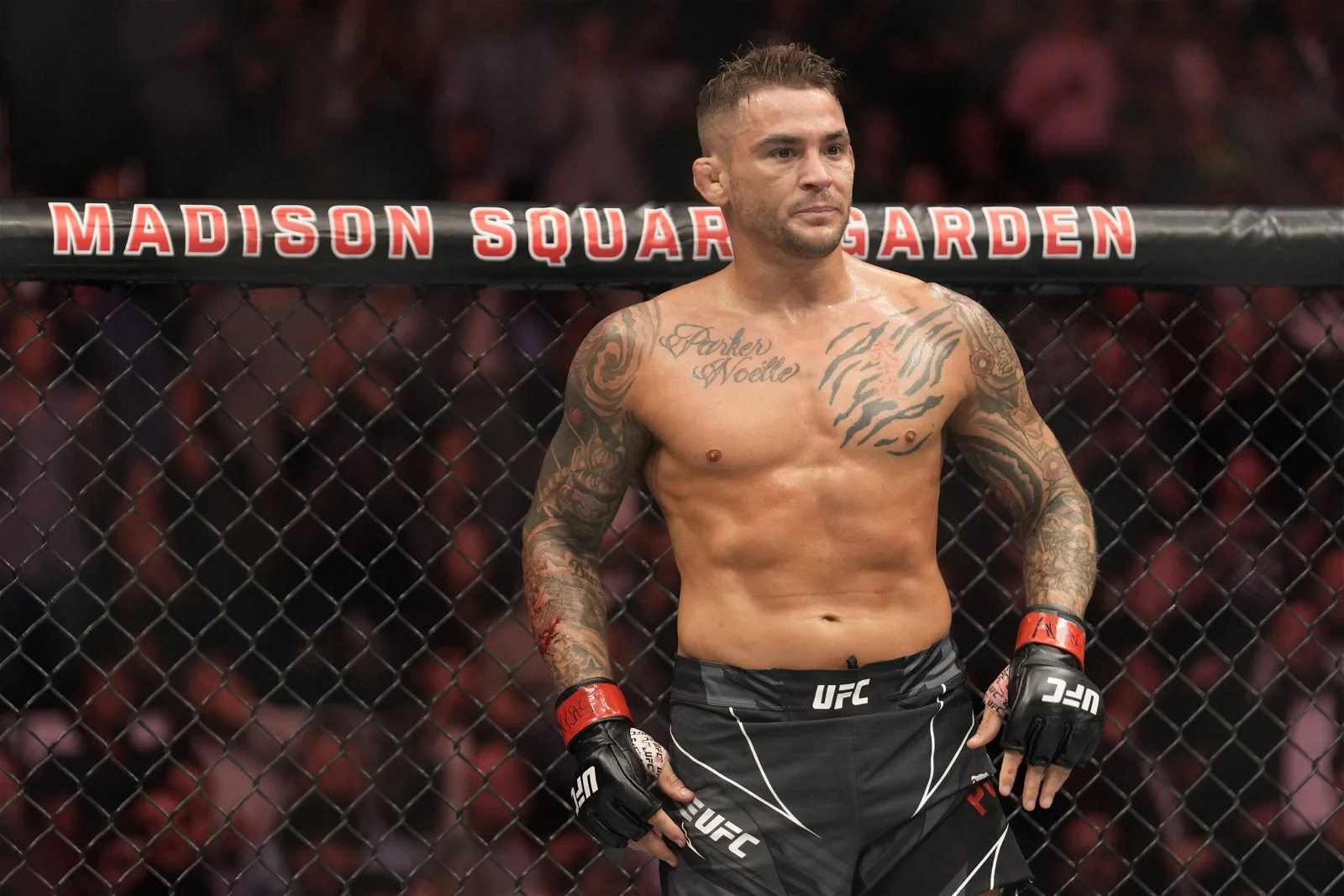 Dustin Poirier Net Worth 2023 How Much Money Did Poirier Earn From UFC? Inside Sport India