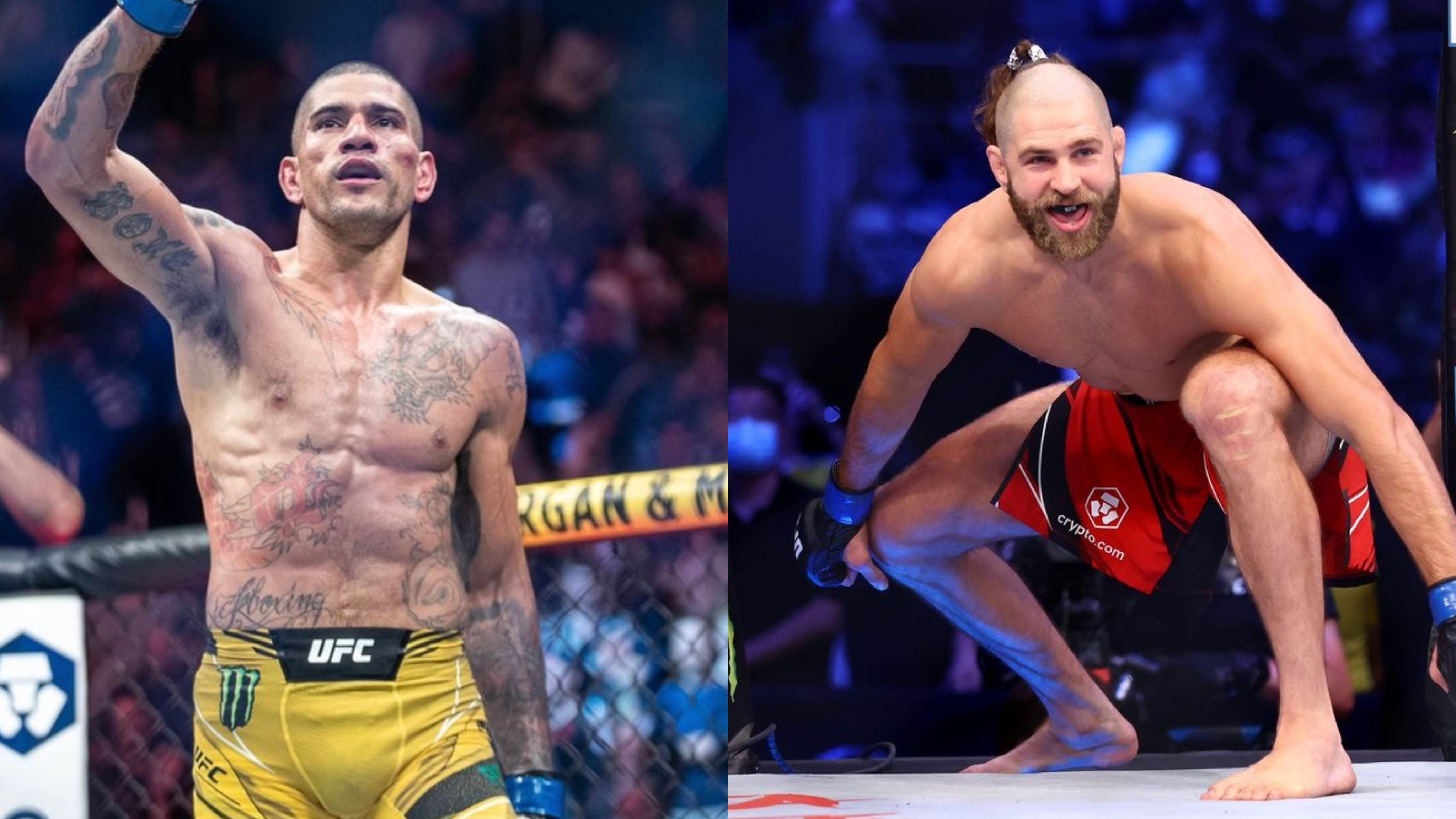 UFC 295 Alex Pereira vs Jiri Prochazka Career Losses